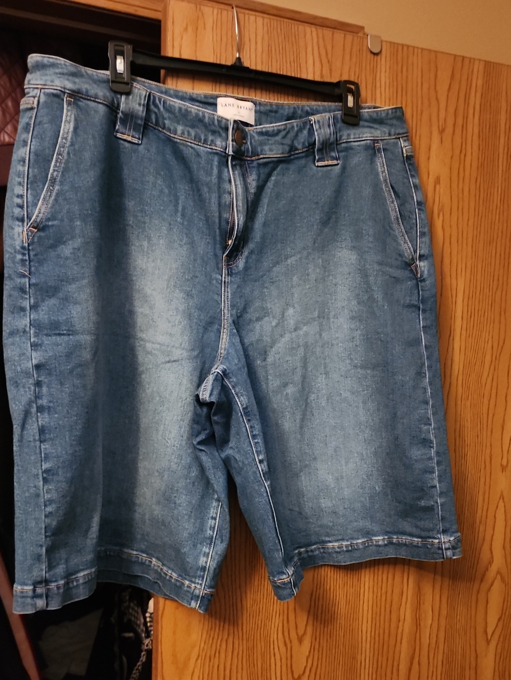 Lane Bryant Light Blue Denim Jean Shorts